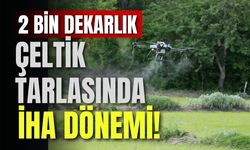 2 Bin Dekarlık Çeltik Tarlasında İHA Dönemi!