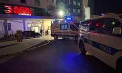 Alkol Nedeniyle Tartıştılar, Sonu Ölüm Oldu!