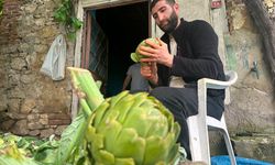 “Altın Mesai”: Enginar Soyucuları Sezonda Rekora Koşuyor!