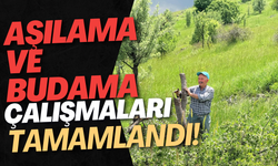 Aşılama ve Budama Çalışmaları Tamamlandı!