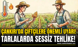 Çankırı'da Çiftçilere Önemli Uyarı! Tarlalarda Sessiz Tehlike!