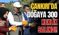 Çankırı’da Doğaya 300 Keklik Salındı!