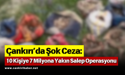 Çankırı’da Şok Ceza: 10 Kişiye 7 Milyona Yakın Salep Operasyonu