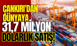 Çankırı'dan Dünyaya 31,7 Milyon Dolarlık Satış!