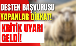 Destek Başvurusu Yapanlar Dikkat! Kritik Uyarı Geldi