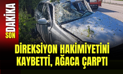 Direksiyon Hakimiyetini Kaybetti, Ağaca Çarptı