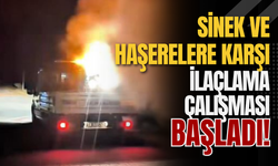 Sinek ve Haşerelere Karşı İlaçlama Çalışması Başladı!