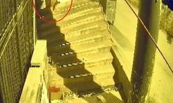 Kadın Kılığına Girip 10 Gün Boyunca Dükkanı Soydu