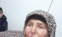 Öğle Molası Faciayla Bitti: Yol Kenarında Uyuyan Kadın Hayatını Kaybetti