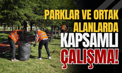 Parklar ve Ortak Alanlarda Kapsamlı Çalışma!