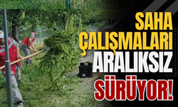 Saha Çalışmaları Aralıksız Sürüyor!