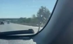 Seyir Halindeki Aracın Kaputundaki Yılan Şaşkına Çevirdi!