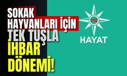 Sokak Hayvanları İçin Tek Tuşla İhbar Dönemi!