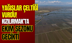 Yağışlar Çeltiği Vurdu! Kızılırmak’ta Ekim Sezonu Gecikti