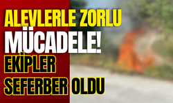 Alevlerle Zorlu Mücadele! Ekipler Seferber Oldu