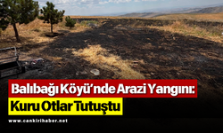 Balıbağı Köyü’nde Arazi Yangını: Kuru Otlar Tutuştu