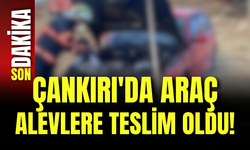 Çankırı'da Araç Alevlere Teslim Oldu!
