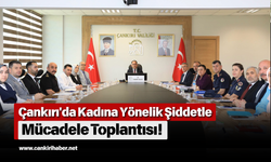 Çankırı'da Kadına Yönelik Şiddetle Mücadele Toplantısı!