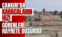 Çankırı'da Karacaların Hızı Görenleri Hayrete Düşürdü!