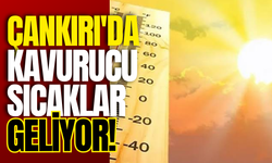 Çankırı'da Kavurucu Sıcaklar Geliyor!