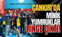 Çankırı'da Minik Yumruklar Ringe Çıktı!