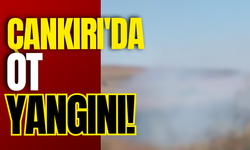 Çankırı'da Ot Yangını!