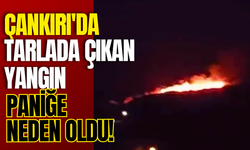 Çankırı'da Tarlada Çıkan Yangın Paniğe Neden Oldu!