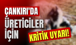 Çankırı'da Üreticiler İçin Kritik Uyarı!