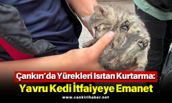 Çankırı’da Yürekleri Isıtan Kurtarma: Yavru Kedi İtfaiyeye Emanet
