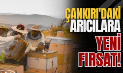 Çankırı'daki Arıcılara Yeni Fırsat!