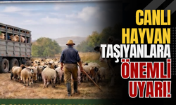 Canlı Hayvan Taşıyanlara Önemli Uyarı!