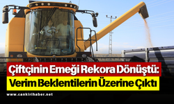 Çiftçinin Emeği Rekora Dönüştü: Verim Beklentilerin Üzerine Çıktı