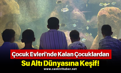 Çocuk Evleri'nde Kalan Çocuklardan Su Altı Dünyasına Keşif!