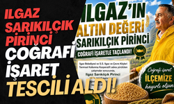 Ilgaz Sarıkılçık Pirinci Coğrafi İşaret Tescili Aldı!