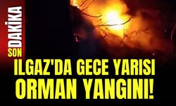 Ilgaz'da Gece Yarısı Orman Yangını!