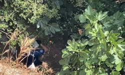 Manzara İzlerken Düştü, Yardıma Gelen Polislerden Kaçtı