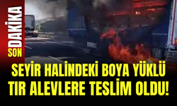 Seyir Halindeki Boya Yüklü Tır Alevlere Teslim Oldu!