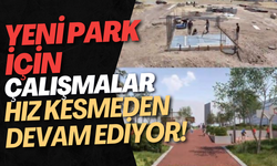 Yeni Park İçin Çalışmalar Hız Kesmeden Devam Ediyor!