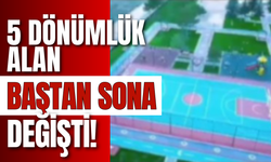 5 Dönümlük Alan Baştan Sona Değişti!
