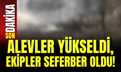 Alevler Yükseldi, Ekipler Seferber Oldu!