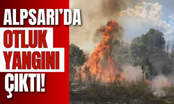 Alpsarı’da Otluk Yangını Çıktı!