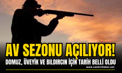 Av Sezonu Açılıyor! Domuz, Üveyik ve Bıldırcın İçin Tarih Belli Oldu