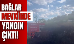 Bağlar Mevkiinde Yangın Çıktı!