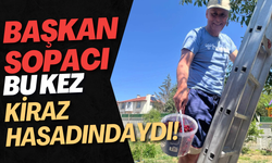 Başkan Sopacı Bu Kez Kiraz Hasadındaydı!