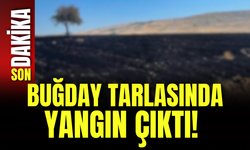 Buğday Tarlasında Yangın Çıktı!