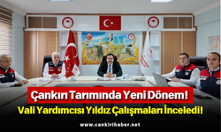 Çankırı Tarımında Yeni Dönem! Vali Yardımcısı Yıldız Çalışmaları İnceledi!