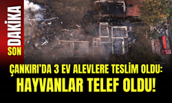 Çankırı’da 3 Ev Alevlere Teslim Oldu: Hayvanlar Telef Oldu!