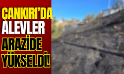 Çankırı’da Alevler Arazide Yükseldi!