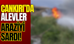 Çankırı’da Alevler Araziyi Sardı!