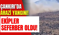 Çankırı’da Arazi Yangını! Ekipler Seferber Oldu